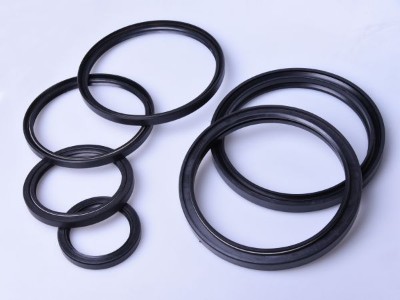 Series of Oil Seal